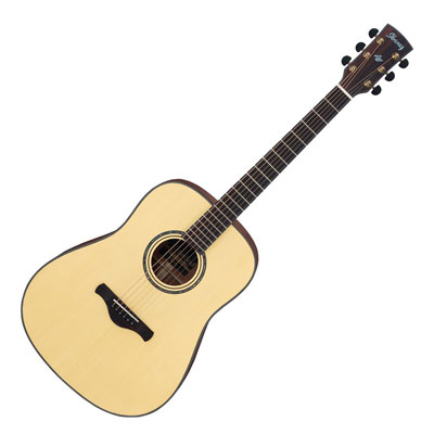 Acoustic Guitar