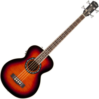 Bass Guitar