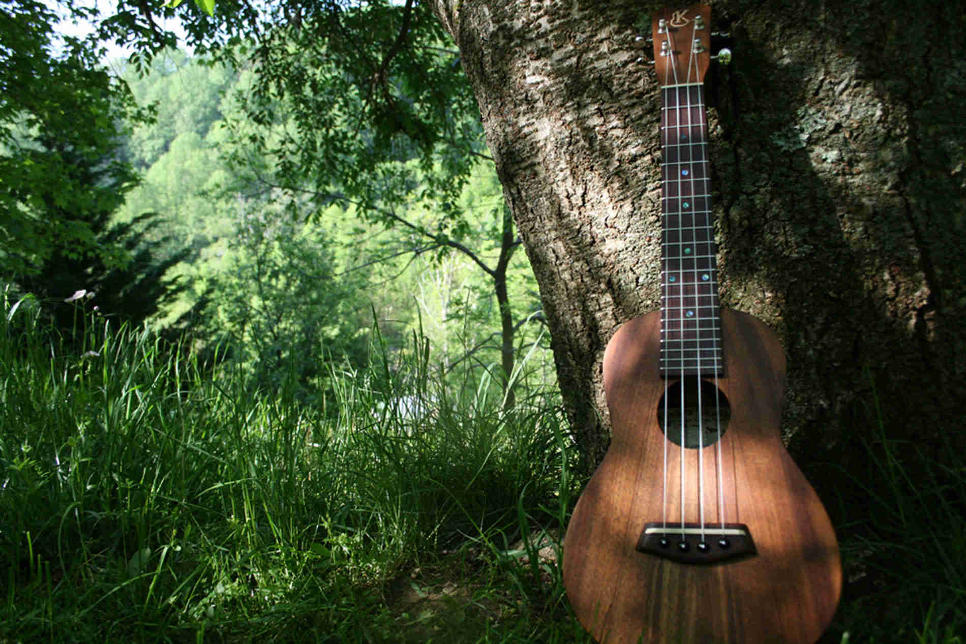 Find your ideal Guitar Teacher
